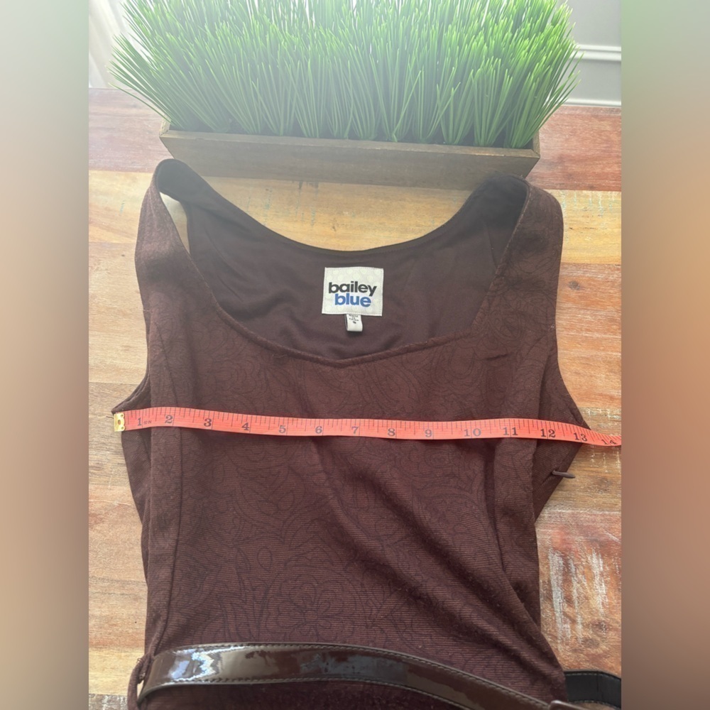 Bailey Blue Sleeveless Belted Brown Dress| Small - Picture 5 of 7